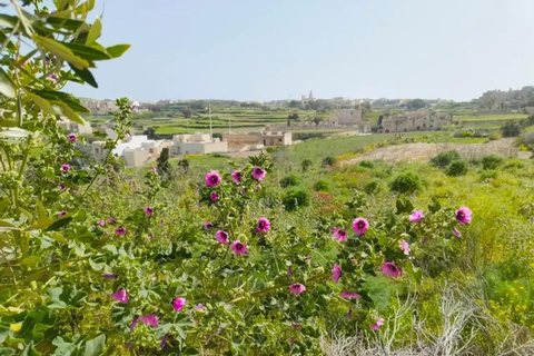 Gozo: Family Winery Estate Tour with Wine Tasting Gozo: Family Estate Tour with Wine Tasting