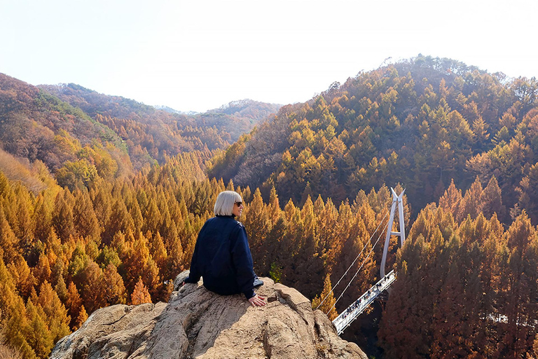 Seoul: Jangtaesan, Starfield Library, & Suwon Day Trip