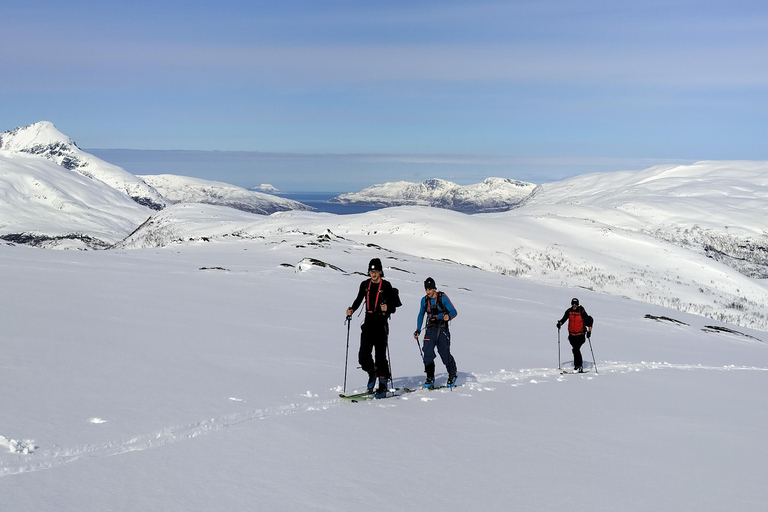 Tromsø: Ski/Randonnee Guided Tour Private tour