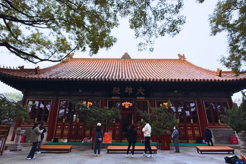 Beijing：Hutong Museum Cluster Tour—Culture, Temples & Life