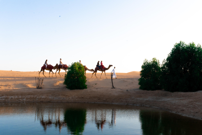 Abu Dhabi: Evening Desert Experience with BBQ Dinner & Shows 4 Hour Private Desert Safari No Dinner and Shows