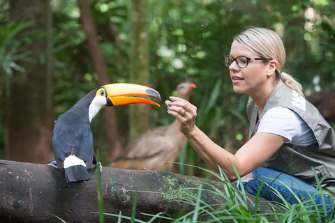 Visite guidée du parc ornithologiqueParc ornithologique + (guide et transport)