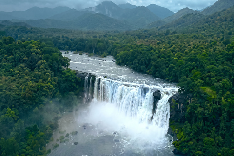 5-Day Kerala Highlights Tour with Overnight Houseboat Stay 3 Star Hotel Accommodation