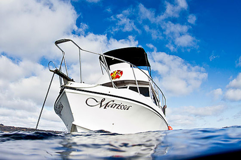 Mission Bay San Diego: Private Bootstouren, deine Art