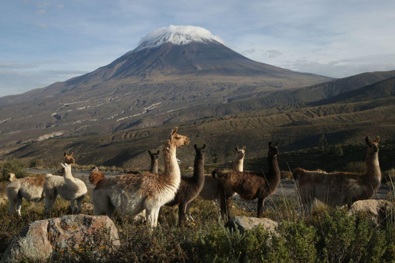 Nationaal reservaat Salinas en Aguada Blanca