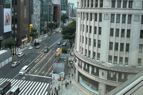 Tsukiji Fish Market+Lunch +Asakusa Tea +Akiba Maid Cafe tour