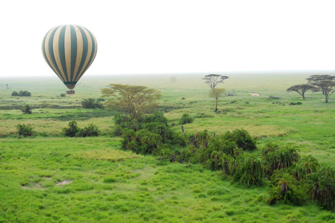 Safaris en camping de 4 jours au Ngorongoro et au Serengeti Np4 jours de safaris en camping au Ngorongoro et au Serengeti Np