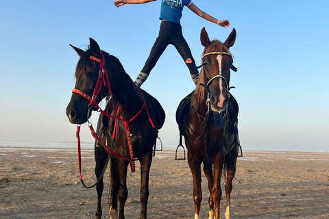 Sea & Desert Horse Riding Tour & Optional Private Photoshoot 2-Hour Horse Ride — Without Transfer (Entry Ticket Only)