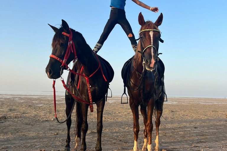 Sea & Desert Horse Riding Tour & Optional Private Photoshoot 2-Hour Horse Ride — Without Transfer (Entry Ticket Only)