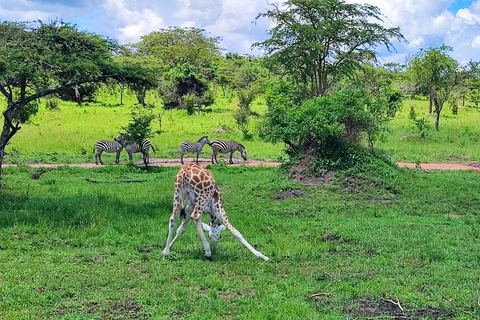 From Kampala: Lake Mburo National Park 3-Day Safari Tour