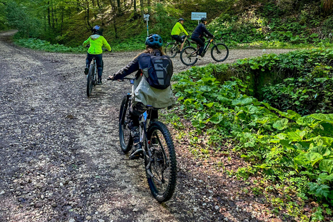 Brasov: E-Bike Tour to Poiana Brasov (Old Town &amp; Forest)