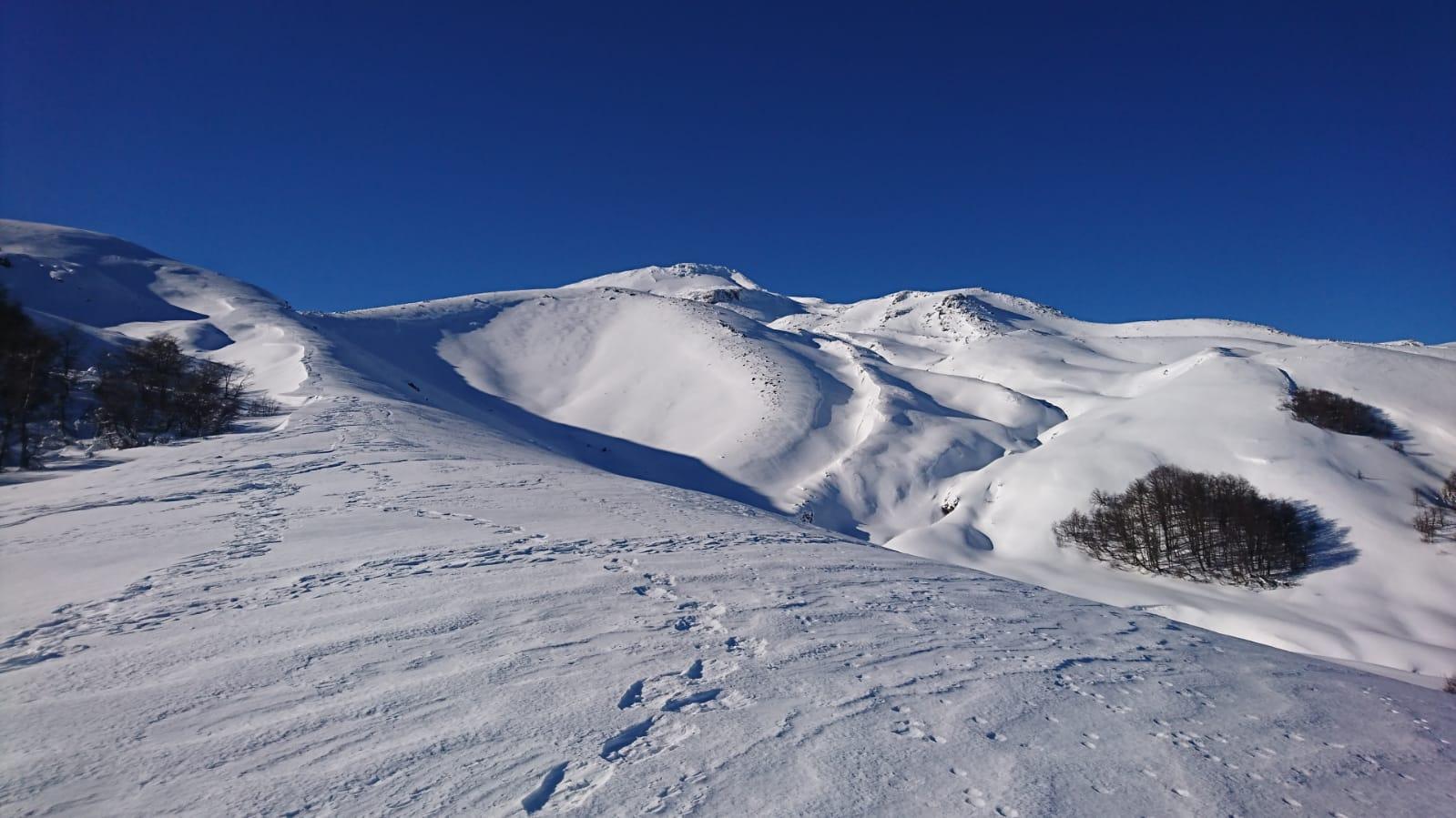 Aufstieg zum Vulkan Quetrupillán (2370 m ü.d.M.), von Pucón aus