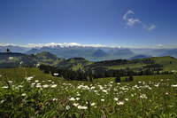 From Zürich, Guided Day Trip to Rigi and Lake Lucerne - Housity