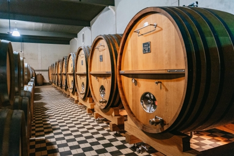 Bourgogne: visite des vignobles