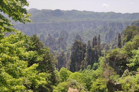 Zhangjiajie: National Forest Park 1-Day VIP Private Tour