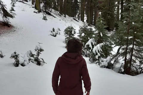 Sequoia National Park: Private Snowshoe Tour