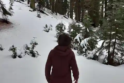 Sequoia National Park: Private Snowshoe Tour