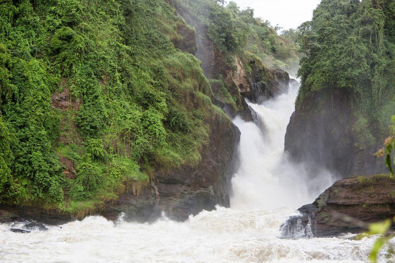 Oeganda Afrika : 3 Dagen Murchison Falls