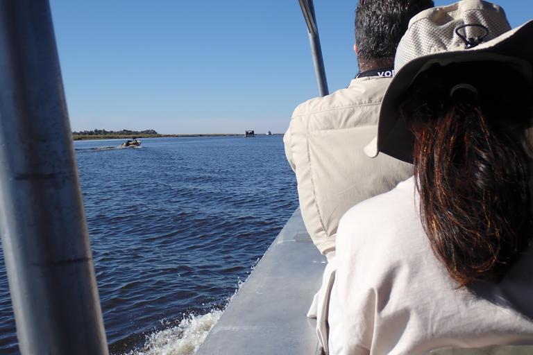 Chobe River Safari Cruise with Professional Guide