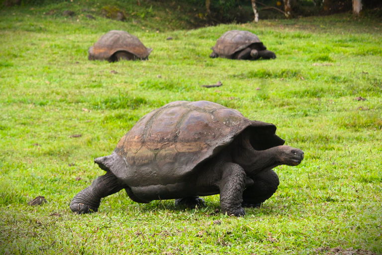 Galapagos Island Hopping Tour - 9D/8N