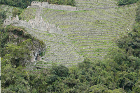 Cusco: Machu Picchu 1-Day Inca Trail with Train