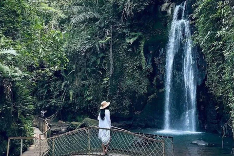 Ubud: Foresta delle scimmie, terrazze di riso, tempio e cascata PetanuUbud: Foresta delle scimmie, terrazze di riso, tempio e cascata di Petanu