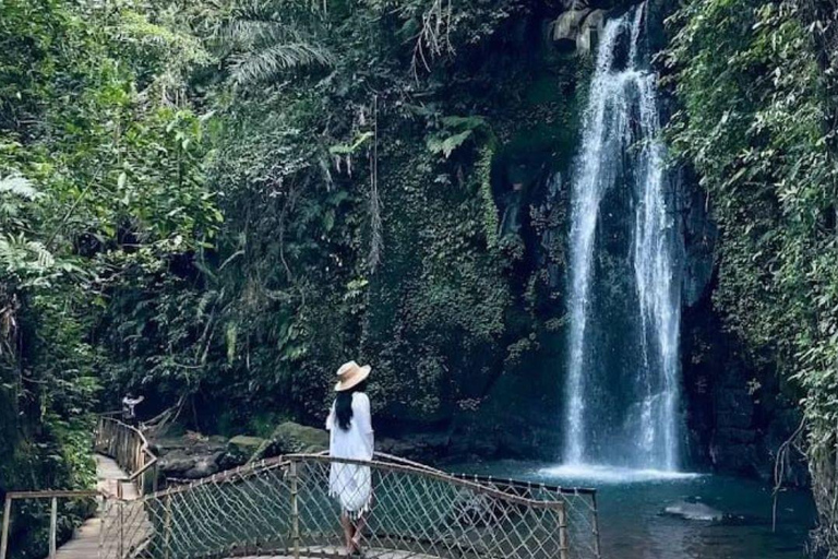 Ubud: Foresta delle scimmie, terrazze di riso, tempio e cascata PetanuUbud: Foresta delle scimmie, terrazze di riso, tempio e cascata di Petanu