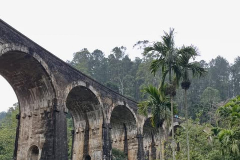 Kandy to Ella Private Transfer Via Nuwara Eliya City Tour