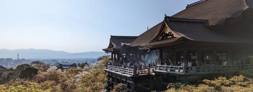 Visite privée de 8 heures autour de Kyoto avec guide espagnol