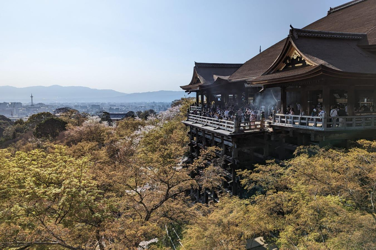 Visite privée de 8 heures autour de Kyoto avec guide espagnol