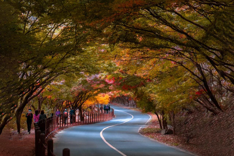 Naejangsan: Hoogtepunt van een Koreaanse herfst dagtrip vanuit SeoulRetourvlucht vanaf Myeongdong Station Exit 3