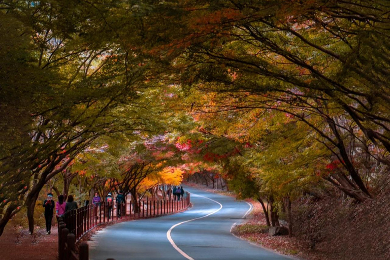 Naejangsan: Hoogtepunt van een Koreaanse herfst dagtrip vanuit SeoulRetourvlucht vanaf Myeongdong Station Exit 3