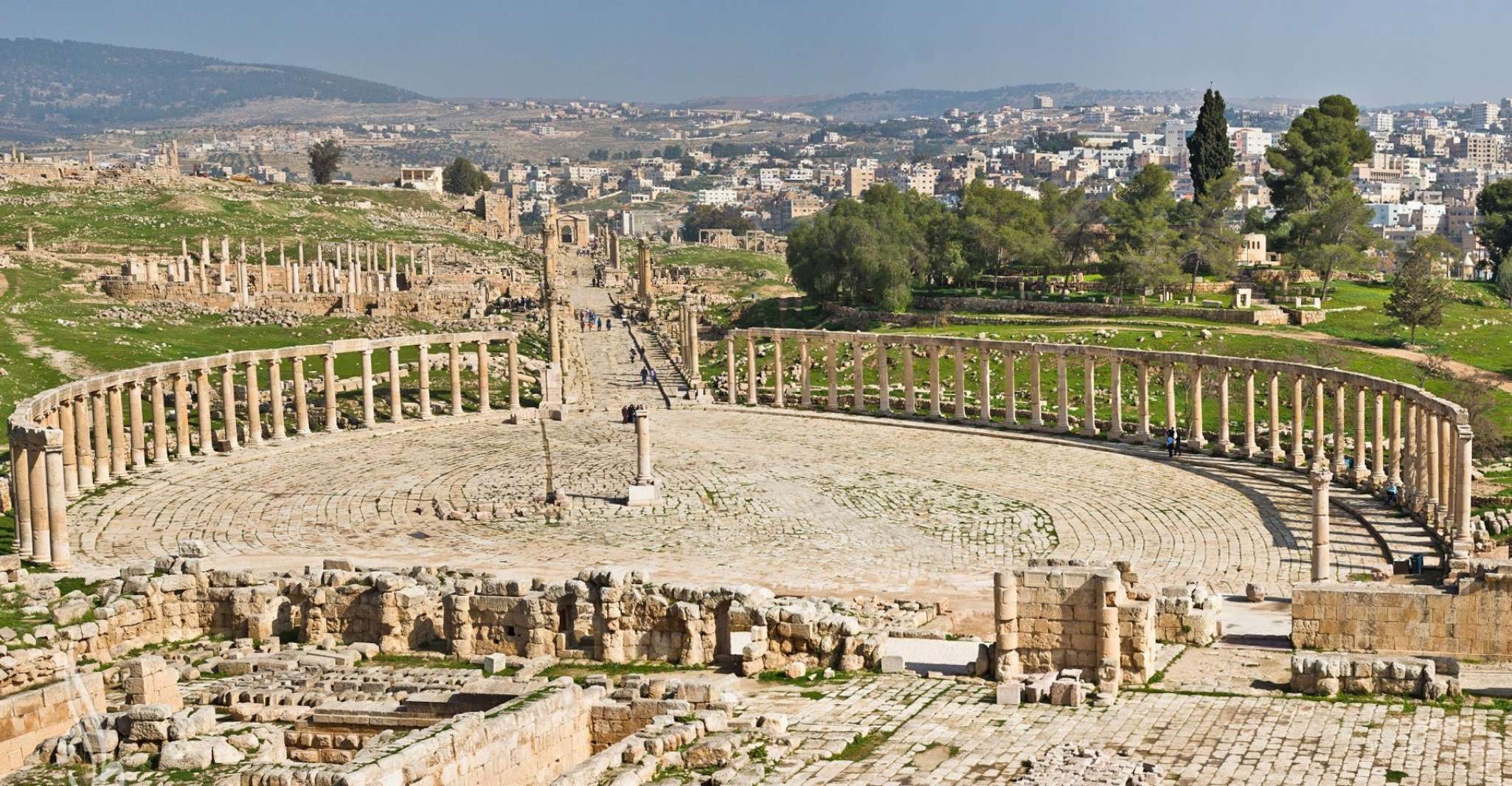 From Amman, Private Jerash, Ajloun Castle, and Umm Qais Tour - Housity