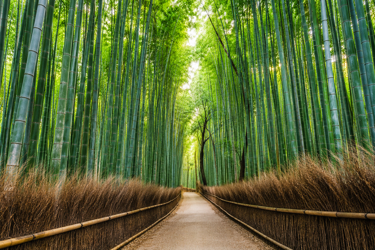 Kyoto/Osaka: Kyoto and Nara Private & Customizable Day Tour