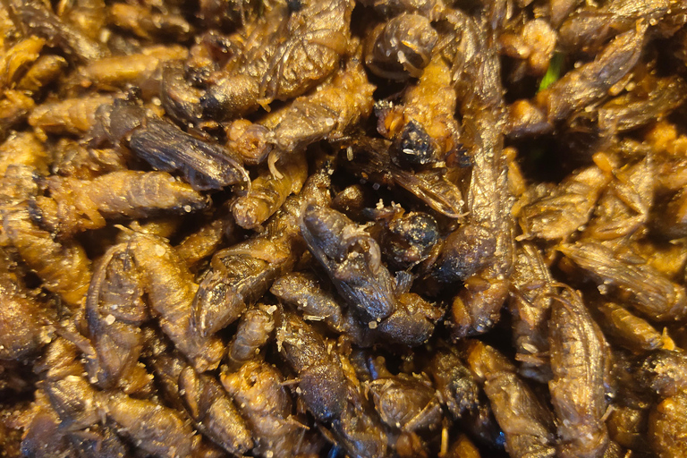 Chiang Mai: Sticky Waterfalls, Blue Pink Temple, and Cycling Chiang Mai: Sticky Waterfalls, Blue Pink Temple, and Market