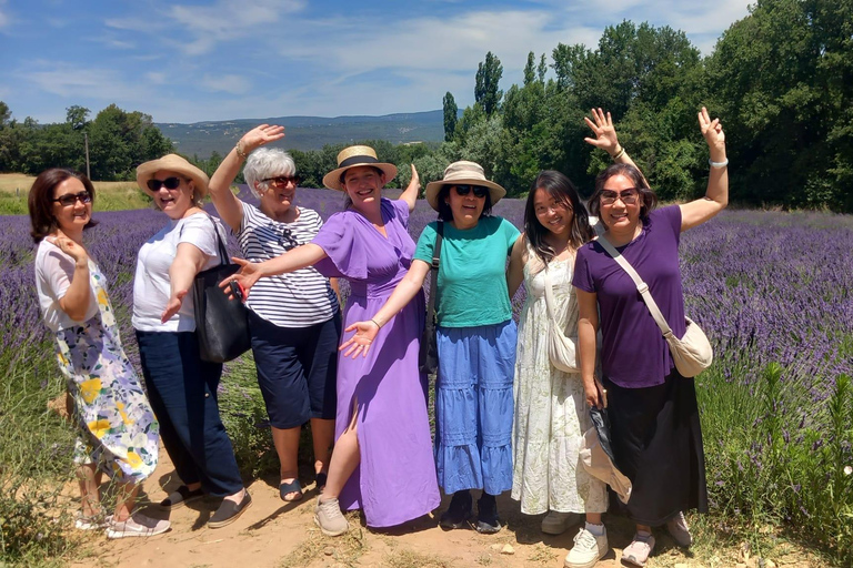 From Aix-en-Provence: Valensole Lavender Full-Day Tour