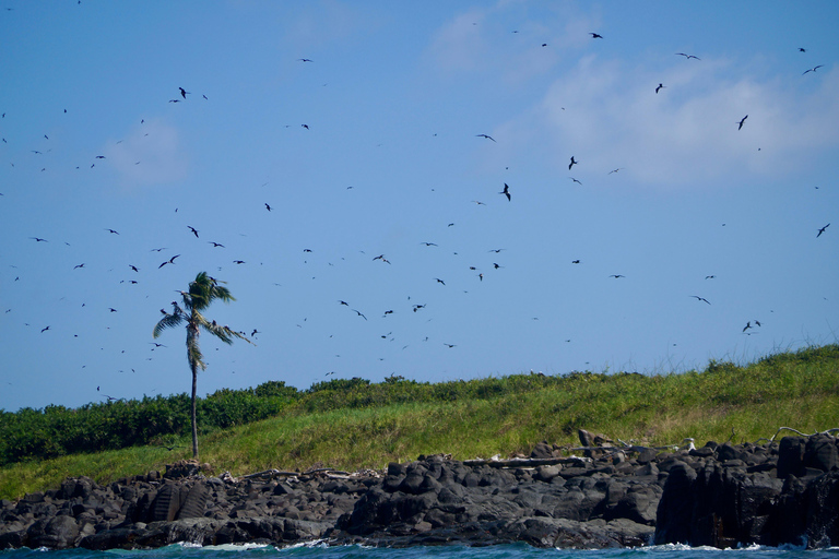Isla Iguana Full Day Tour