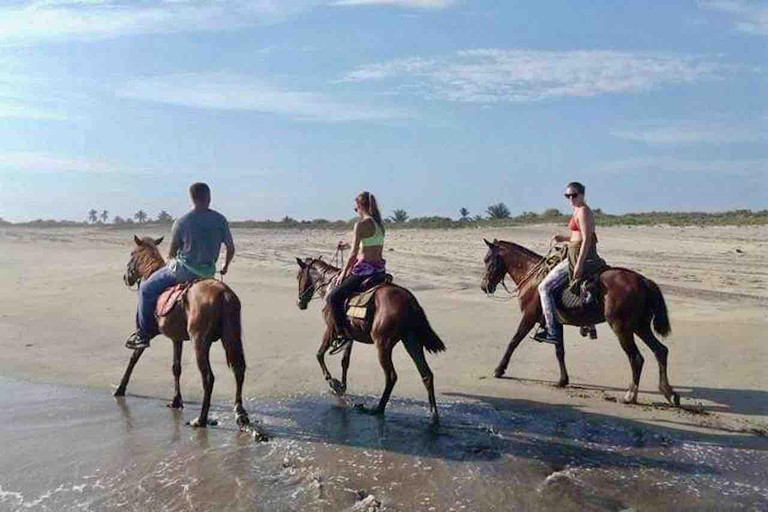 From Huatulco: Beach Horseback Riding Experience Regular Beach Horseback Riding Tour (2 hours)
