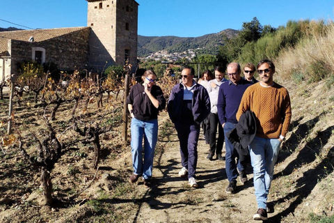 Barcelona: Sailing and Winery Tour with Wine Tasting Winery Tour & Wine Tasting from Barcelona (NO SAILIG)