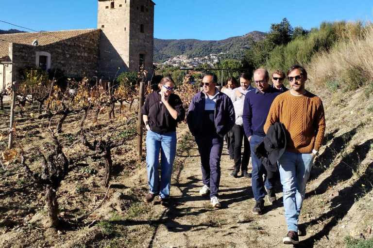 Barcelona: Sailing and Winery Tour with Wine Tasting Winery Tour & Wine Tasting from Barcelona (NO SAILIG)