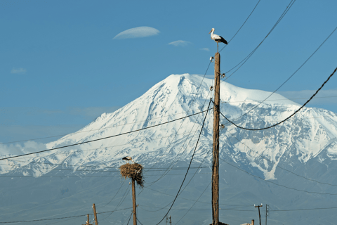 从埃里温出发：霍尔维拉普、诺拉万克、杰尔穆克和鸟洞霍尔维拉普、诺拉旺克、杰尔穆克私人观光（不含导游）