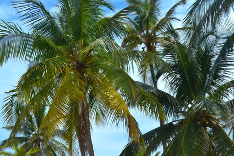 San Blas Secrets : à la découverte du paradis des CaraïbesSan Blas Secrets_ À la découverte du paradis caribéen