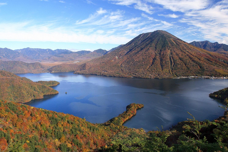 From Tokyo: Nikko Family Adventure with Private Guide