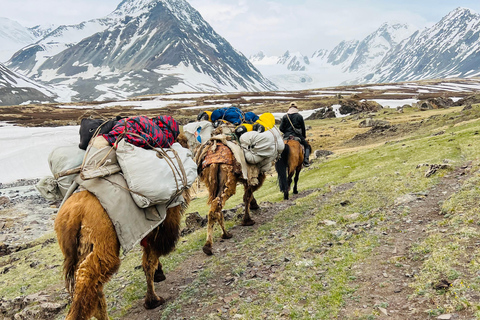 Best trekking tour in Mongolia