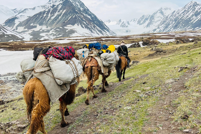 Best trekking tour in Mongolia
