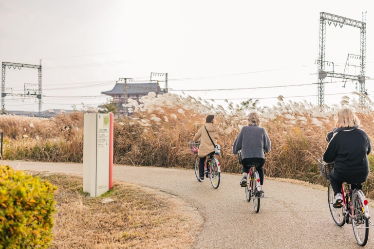 Nara : découvrez le berceau du pays à véloNara : Explorez le berceau du pays à vélo !