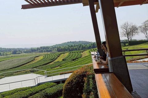 Descobre Chiang Rai: templos, arte e natureza cénicaDiscover Chiang Rai: Temples, Art, and Scenic Nature