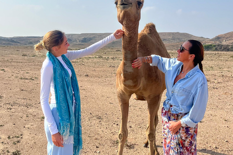 Salalah: Bezoek aan kamelenboerderij met kamelenmelk- en vleesproeverij