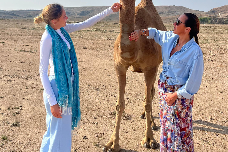 Salalah: Bezoek aan kamelenboerderij met kamelenmelk- en vleesproeverij