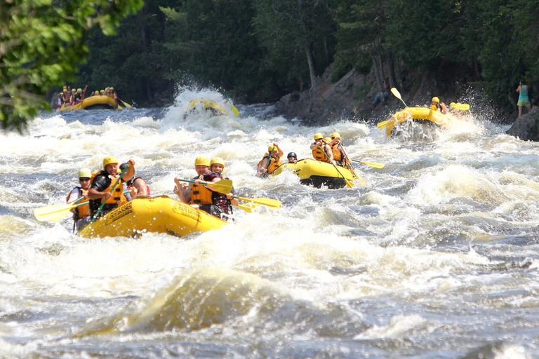 Chiang Mai : quad, rafting en eaux vives et trekking jusqu&#039;aux chutes d&#039;eau